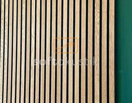 citali-kece-panel-muzik-studyolari