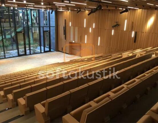 konservatuar-akustigi-ve-konser-salonu-akustigi