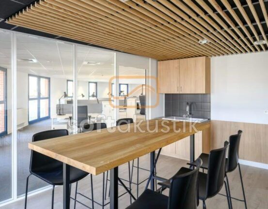 restaurant-ses-yalitimi-ve-musteri-memnuniyeti