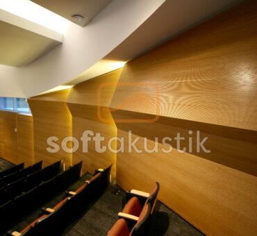 ahsap-duvar-kaplama-doğal-ahsap-panel
