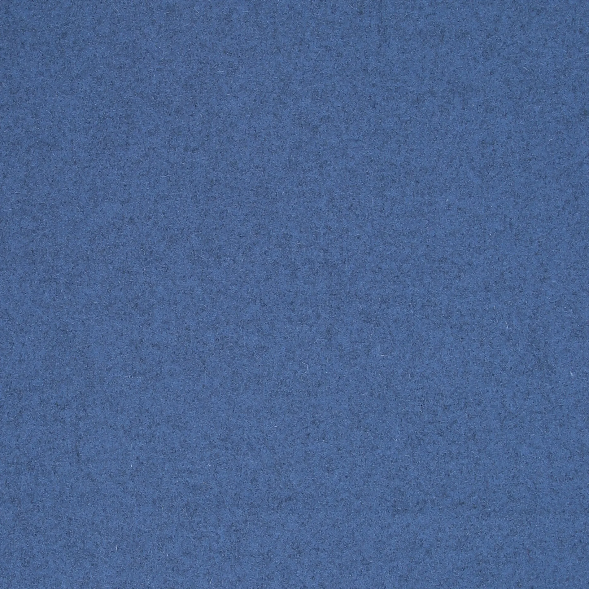 ADRIATIC.webp