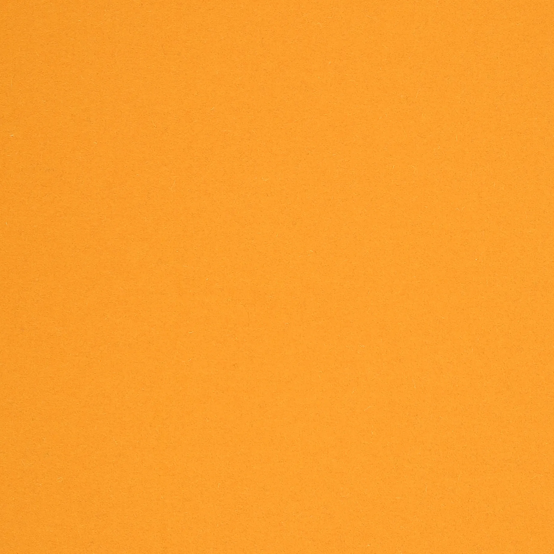 AMBER.webp