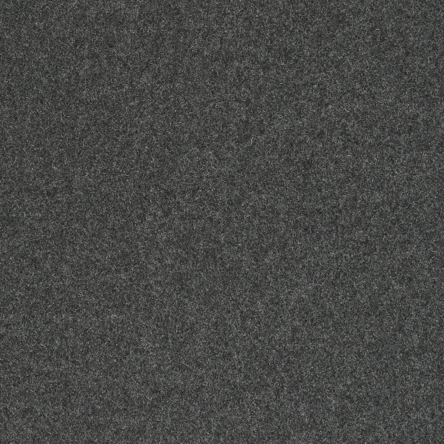 ANTRACIDE.webp