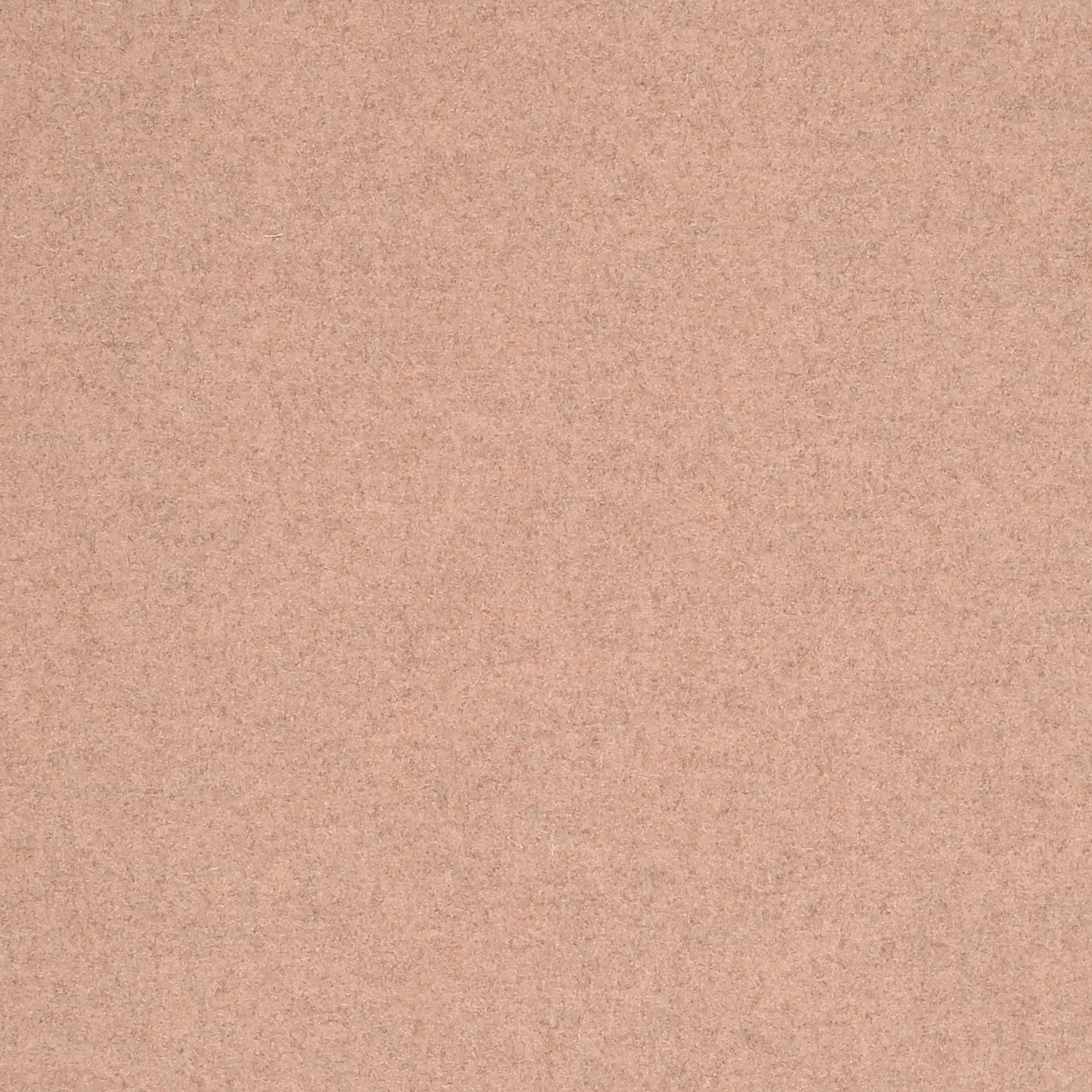 APRICOT.webp