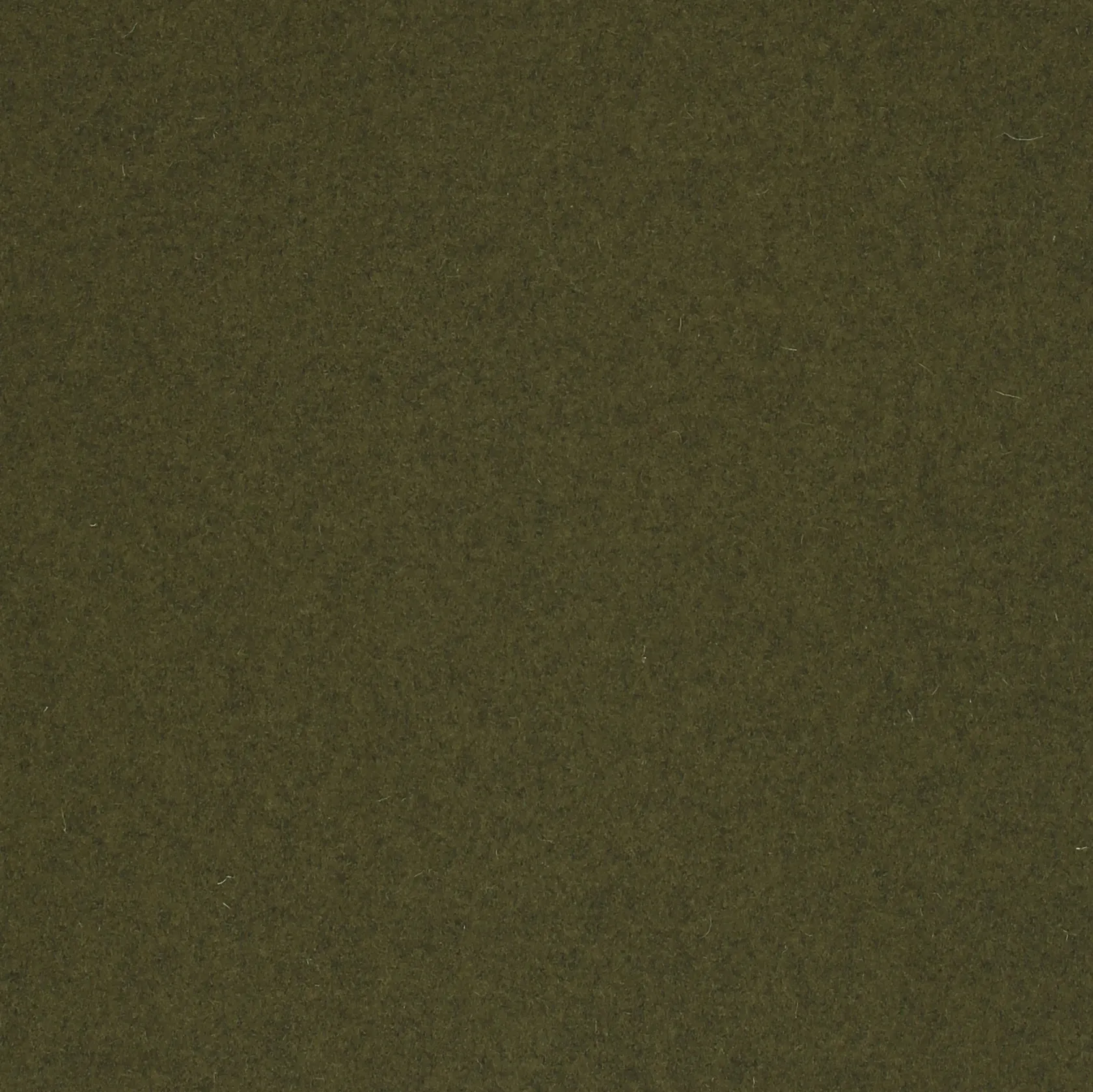 AVOCADO.webp