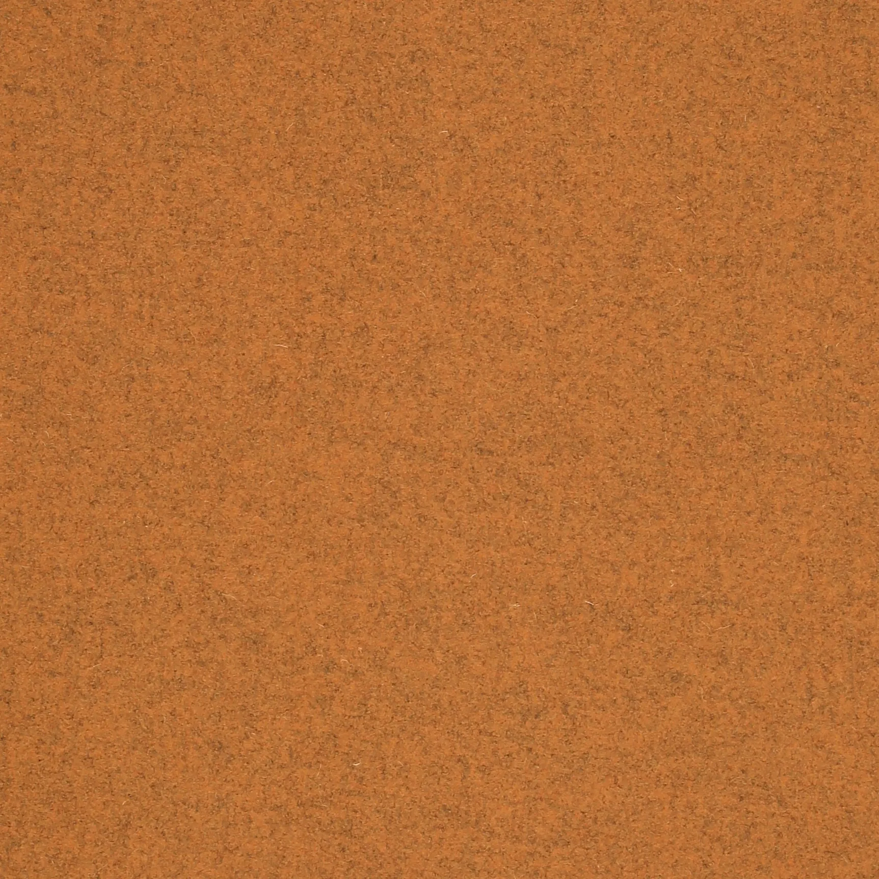 BEESWAX.webp