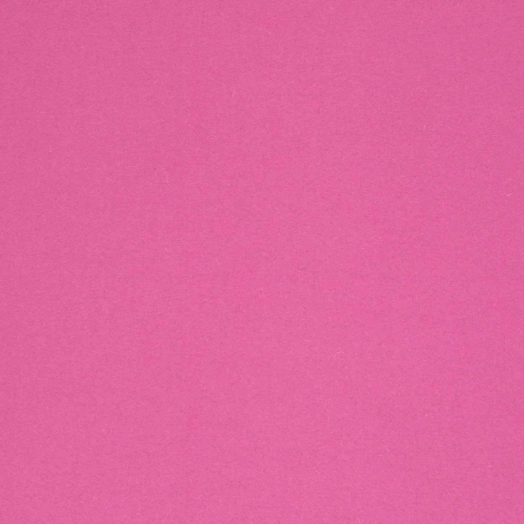 BLOSSOM-2.webp