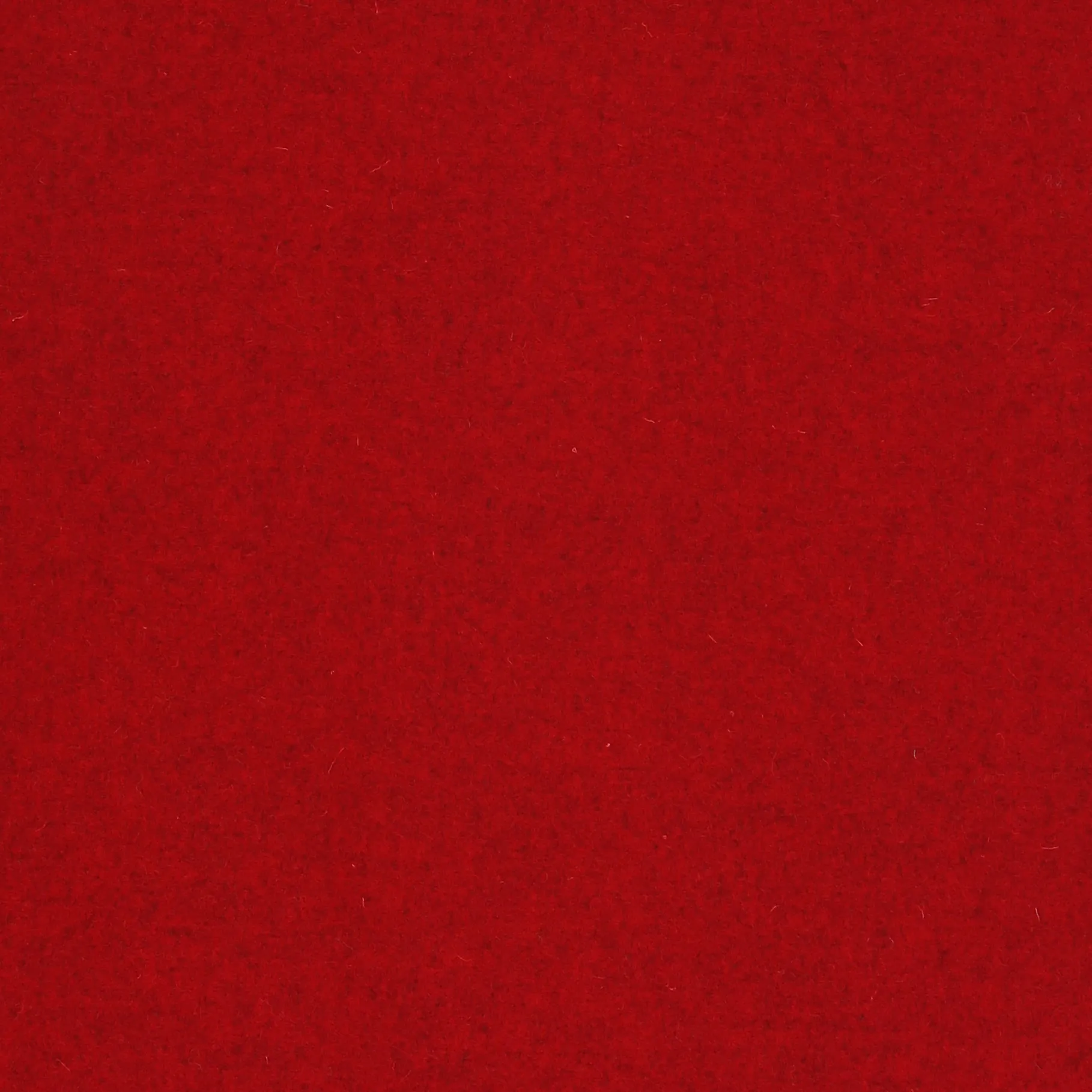 BURGUNDY.webp
