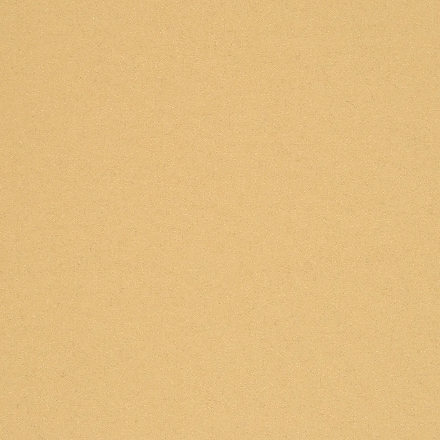 BUTTER-5.webp