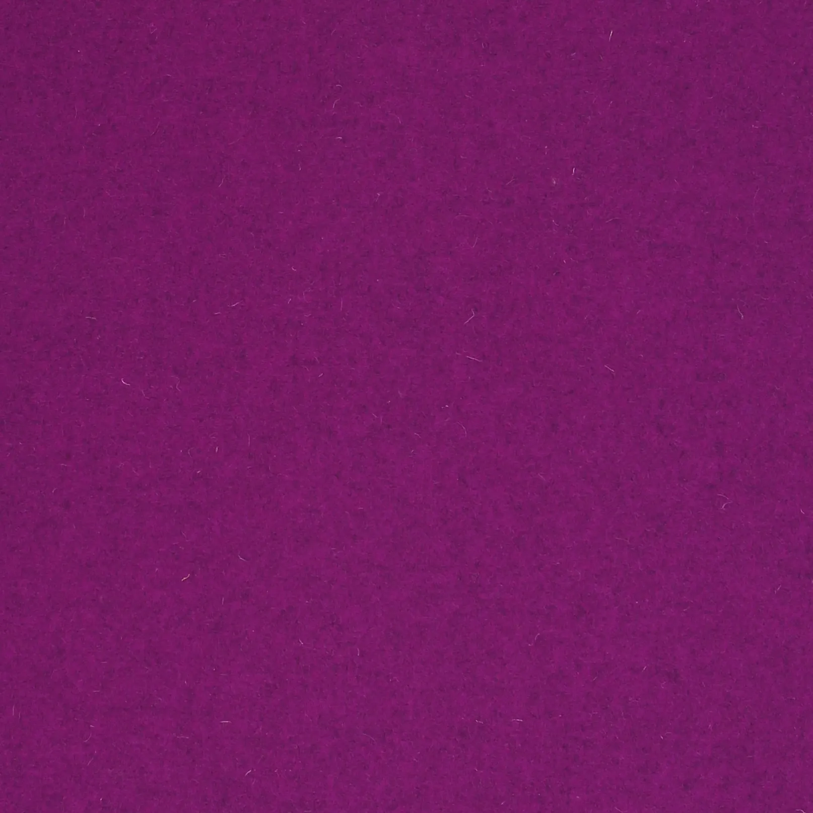 DAMSON.webp