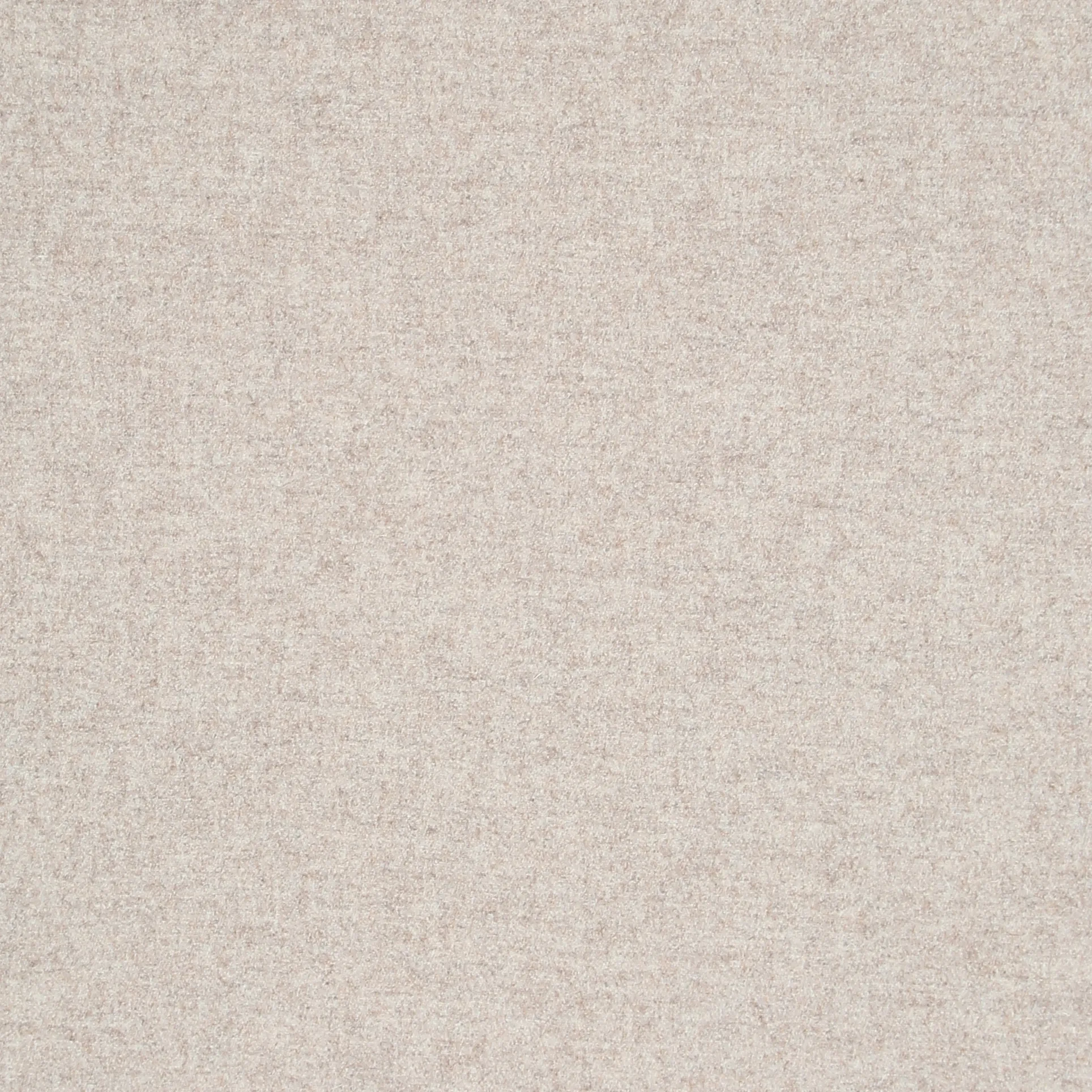 DOLLY.webp