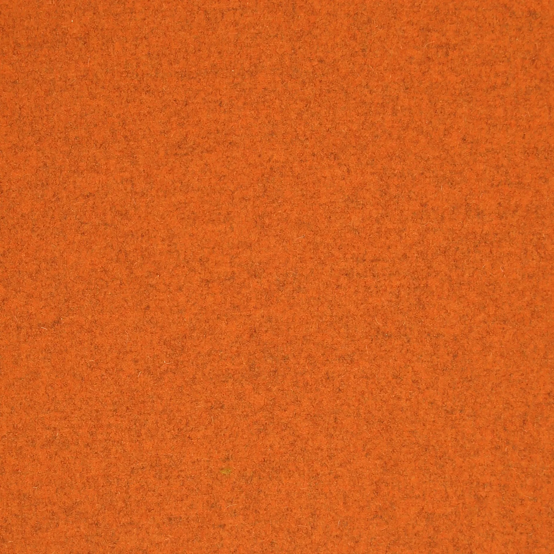 GOLDFISH.webp