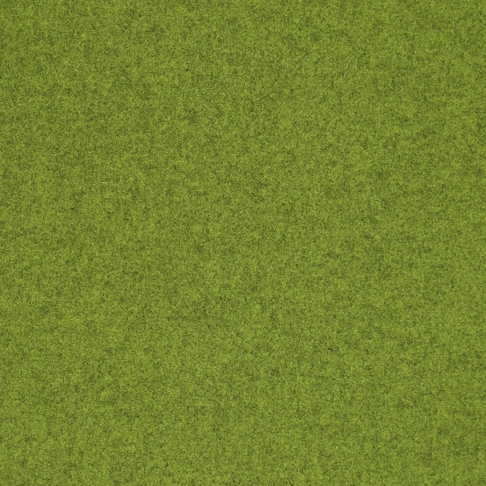 KIWI.webp