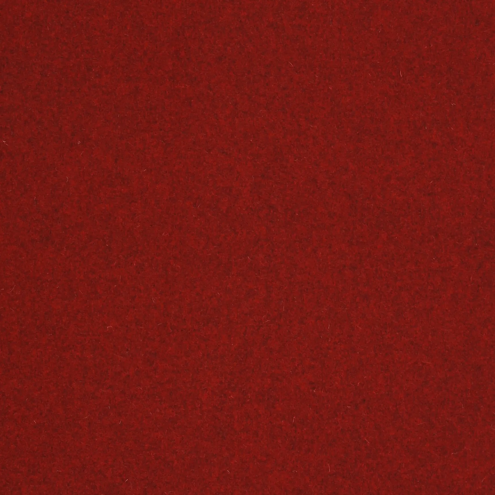 MARSALA.webp