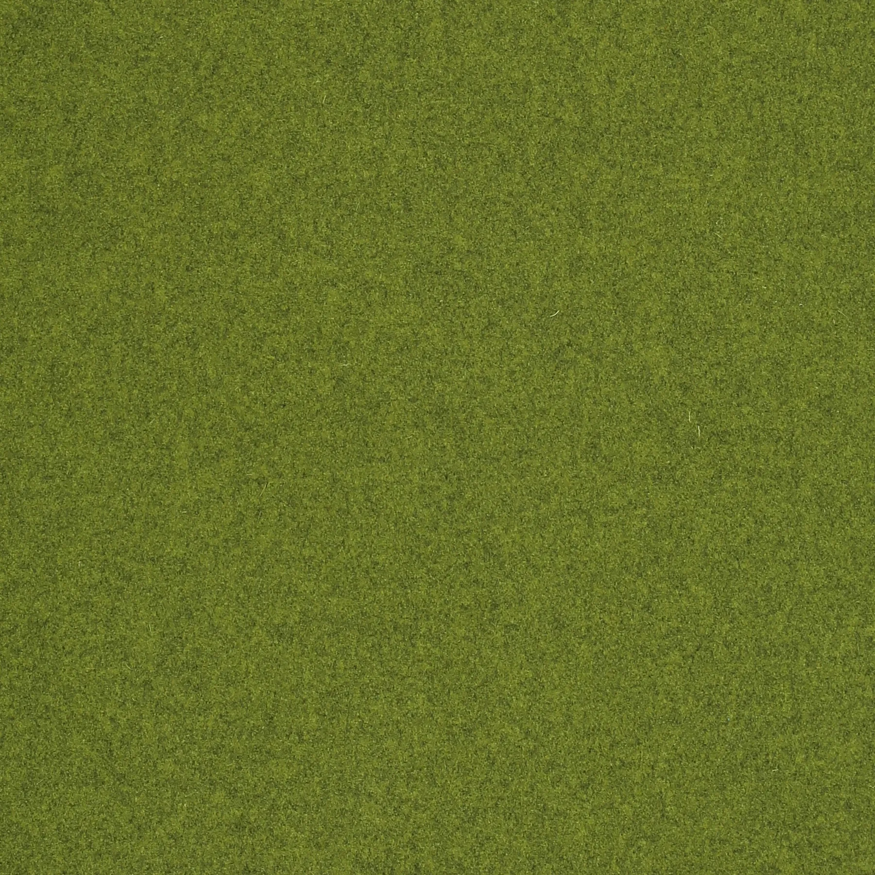 MOSS.webp