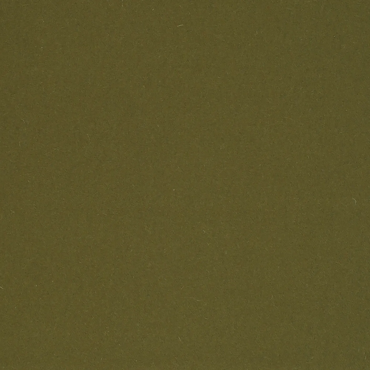 OLIVE.webp