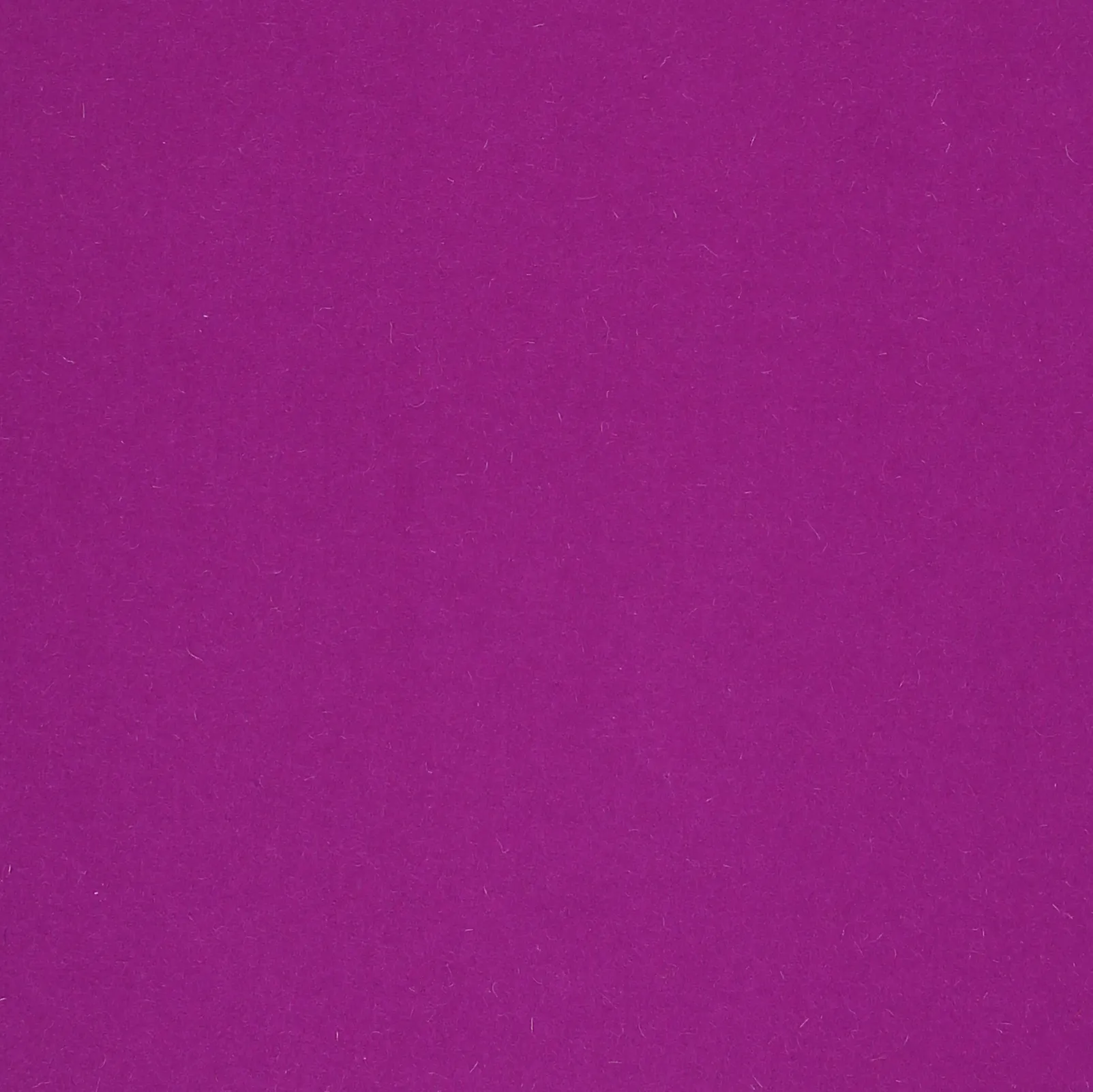 ORCHID.webp