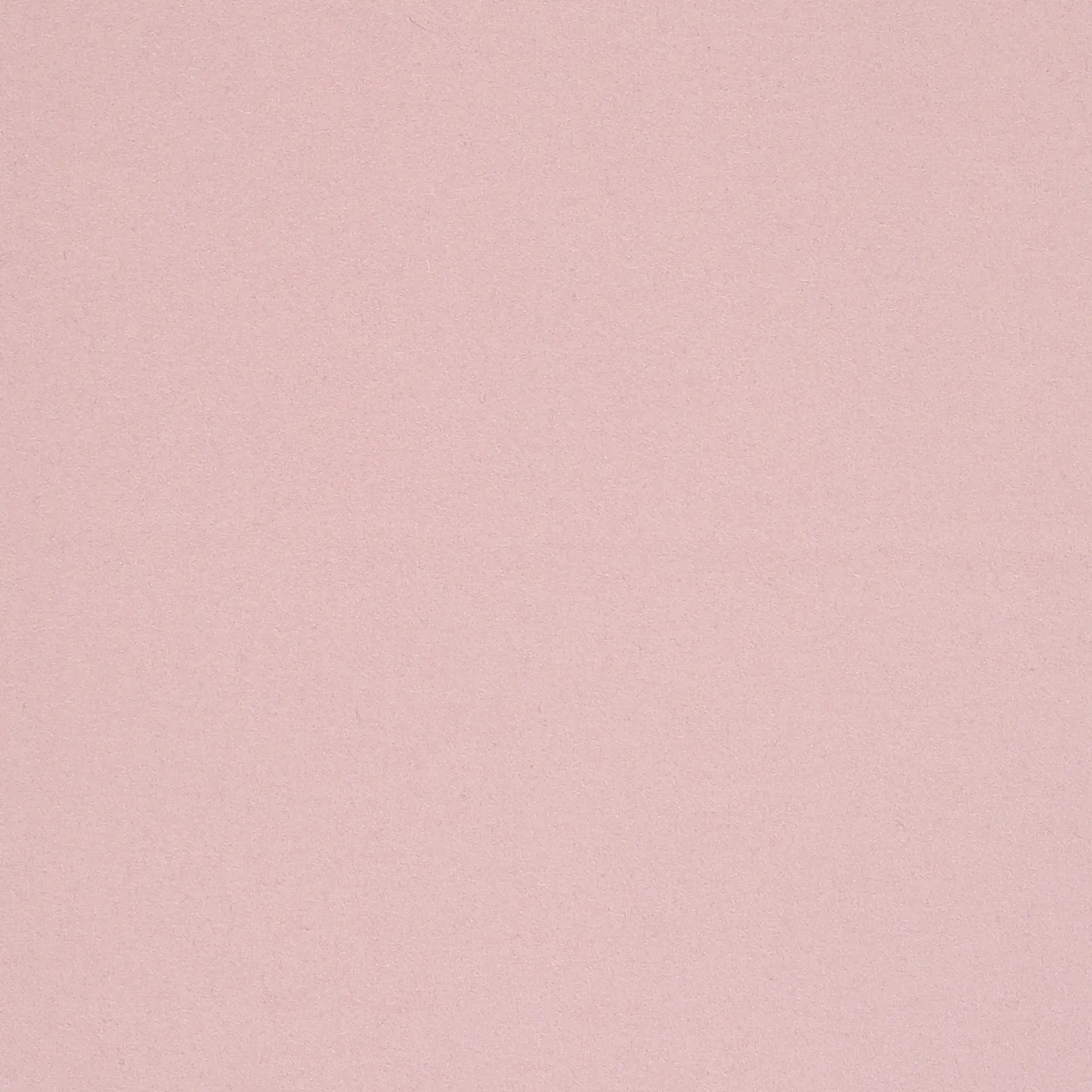 PINKY-2.webp
