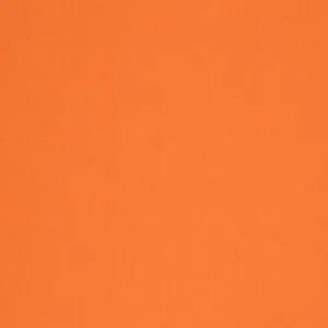 PUMPKIN.webp