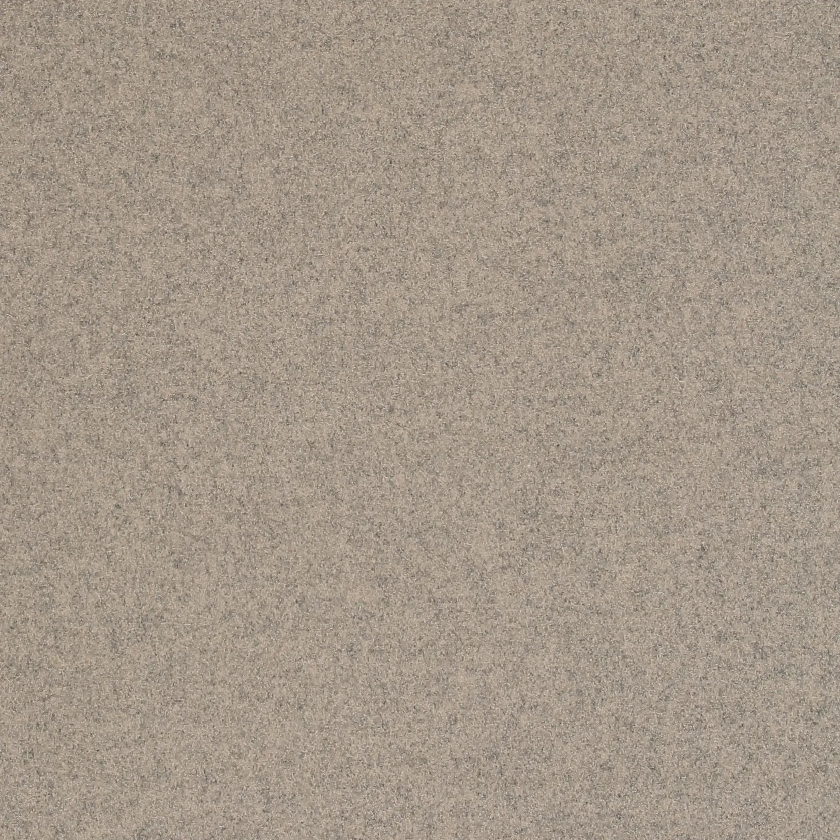 STEPPE.webp