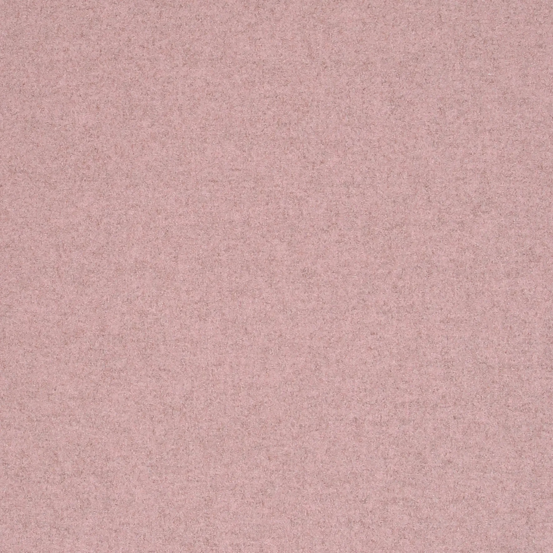 TAPESTRY.webp