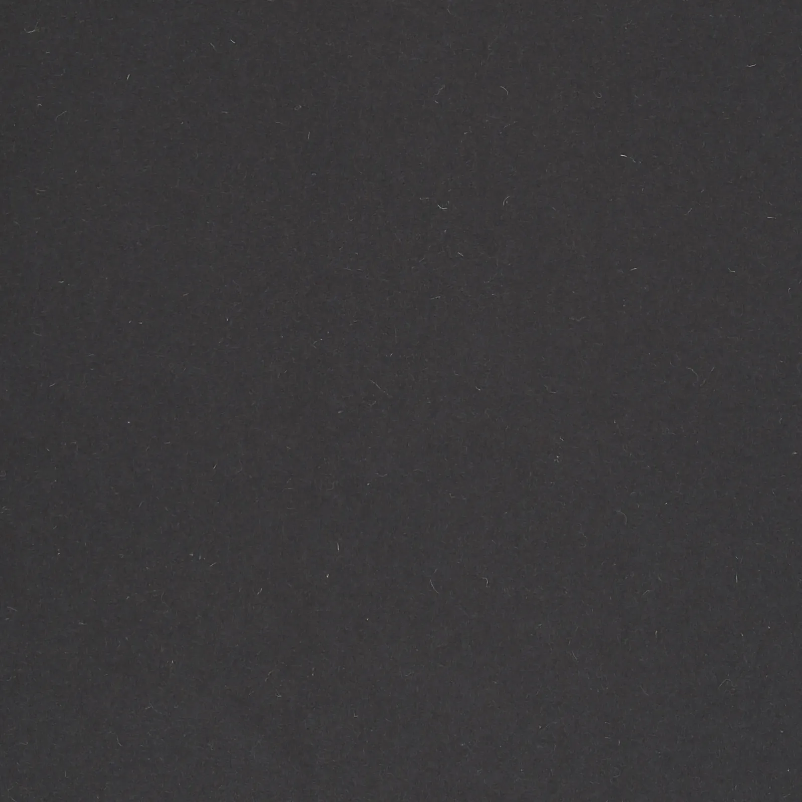 TRUFF.webp