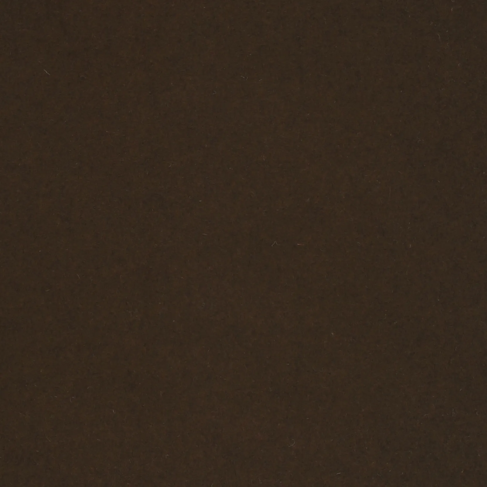 WALLNUT.webp